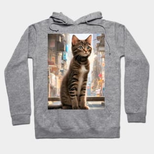 Cute Funny Kittens Beautiful Cats Hoodie